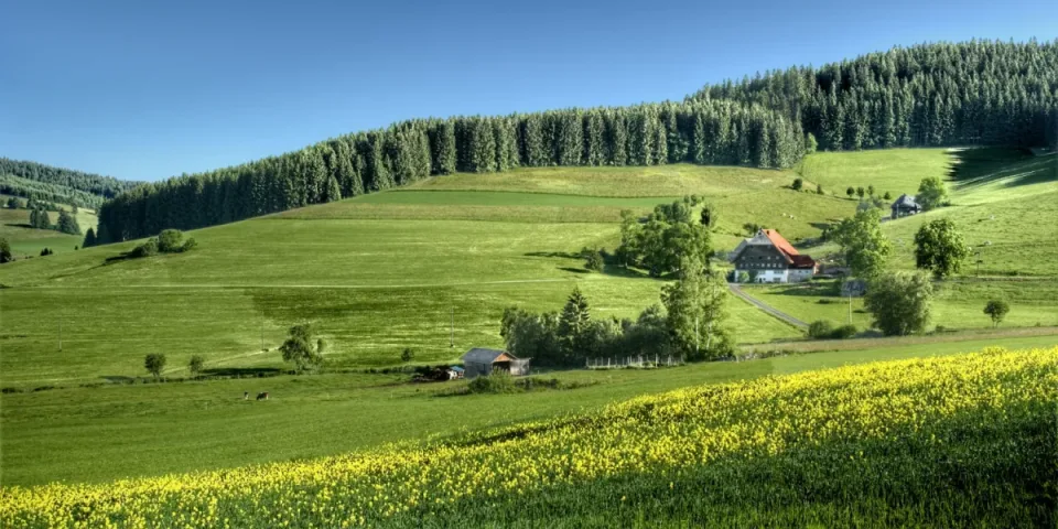Materace sprężynowe: Klucz do Zdrowego Snu i Komfortowego Wypoczynku