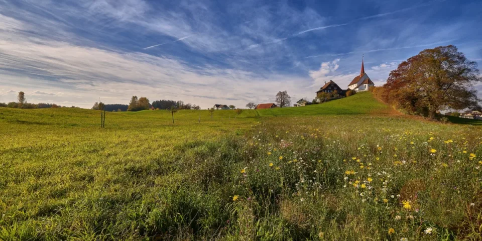 Jak policzyć ślad węglowy instalacji i systemów budynków (HVAC, elektryka)